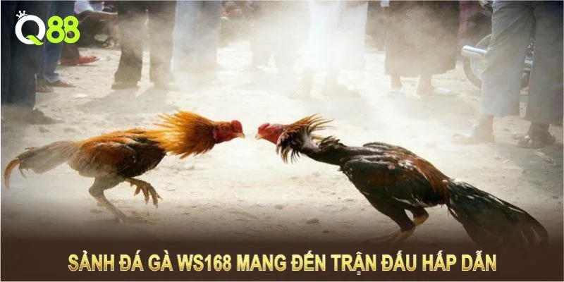WS168 có cả nghìn kho kèo chơi hấp dẫn.